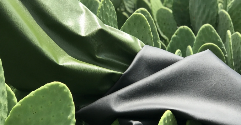 Desserto®- The World’s First biodegradable and plant-based leather.