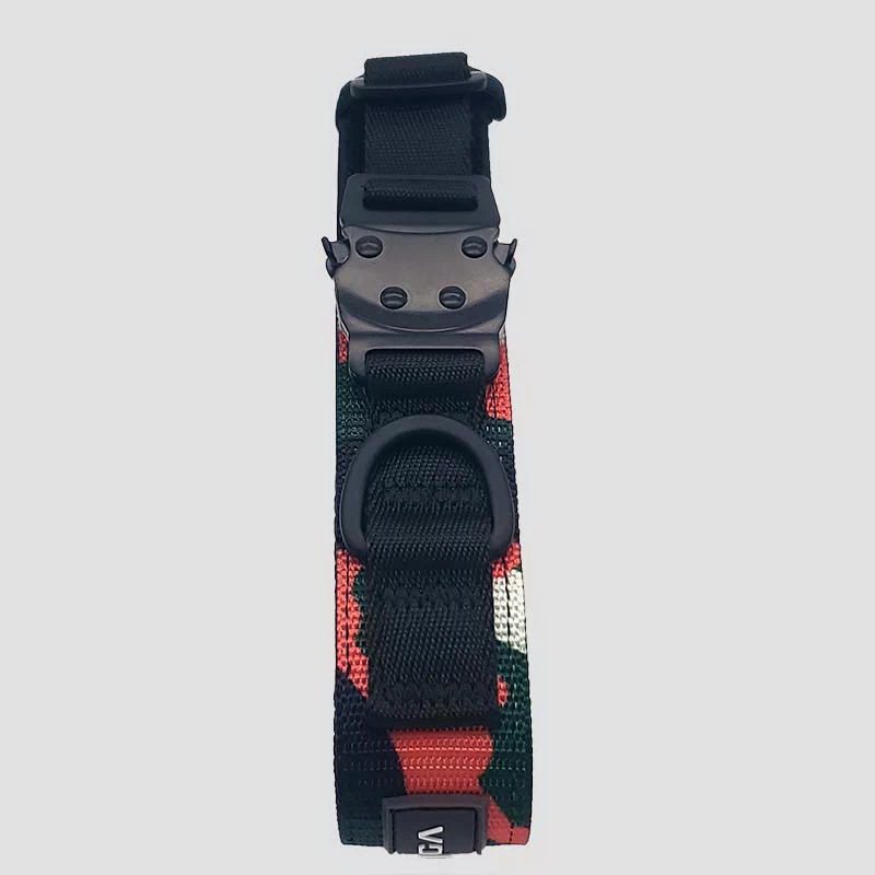 nylon dog collar