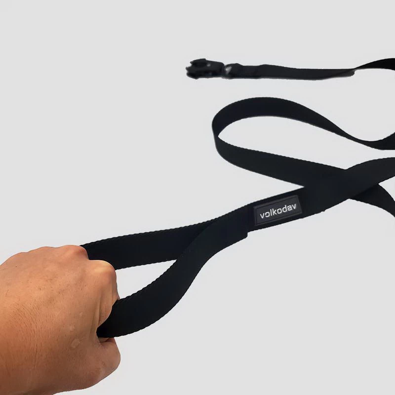 Frog Buckle Pet Traction Rope