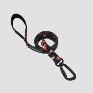 Auto-lock buckle pet leash