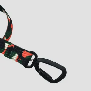 Auto-lock buckle pet leash