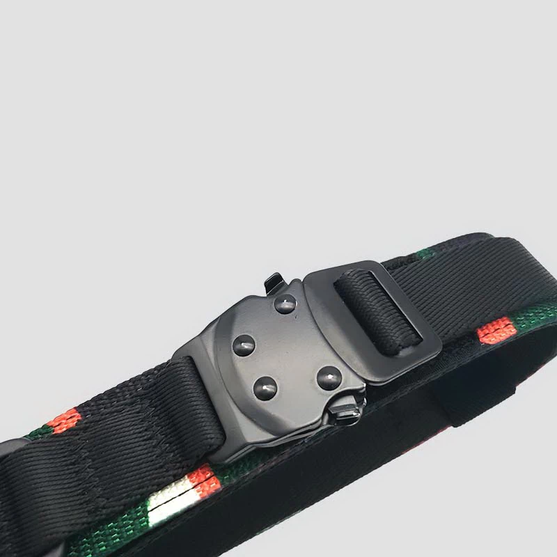 nylon dog collar